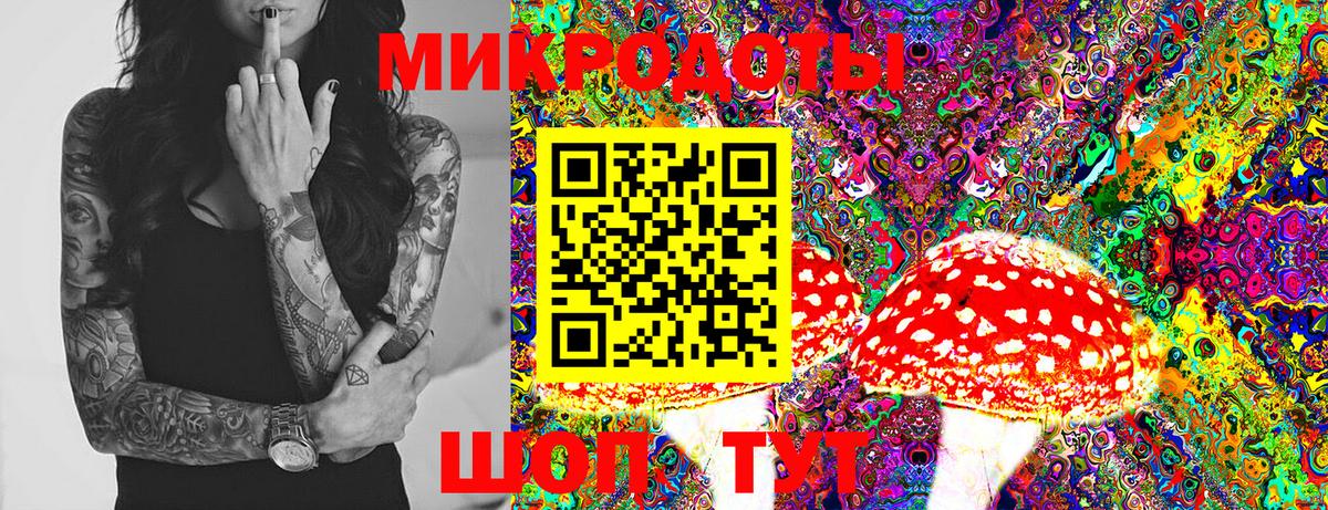 Галлюциногенные грибы Psilocybine cubensis Сосновый Бор